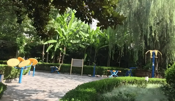 53岁朱茵住山里开破车？